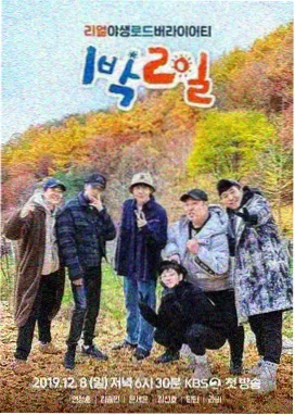 大鱼影视 中国好声音 音乐综艺